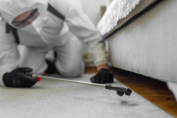 Professional Bed Bug Control technician working in Guttenberg, NJ