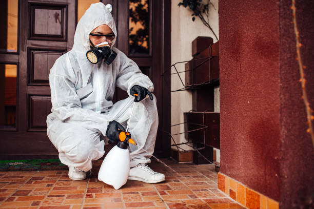 Reliable Bed Bug Control contractor in Guttenberg, NJ by Nex Pest Control