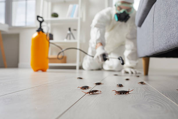 Trusted Fumigation Services service in Guttenberg, NJ - Nex Pest Control