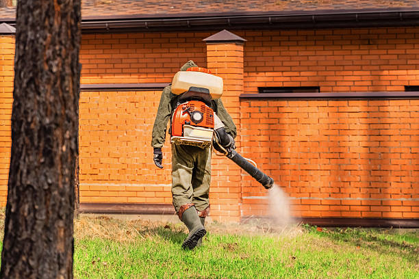 Trusted Termite Control service in Guttenberg, NJ - Nex Pest Control